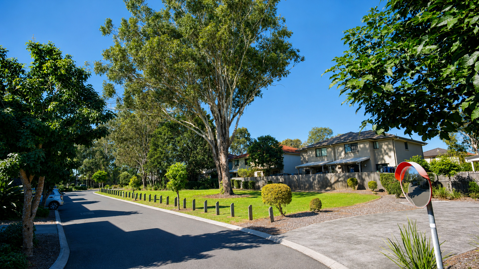 Mature gum trees in the AcaciaFields green space