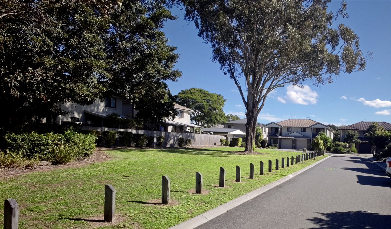 Mature gum tree and lawn within AcaciaFields